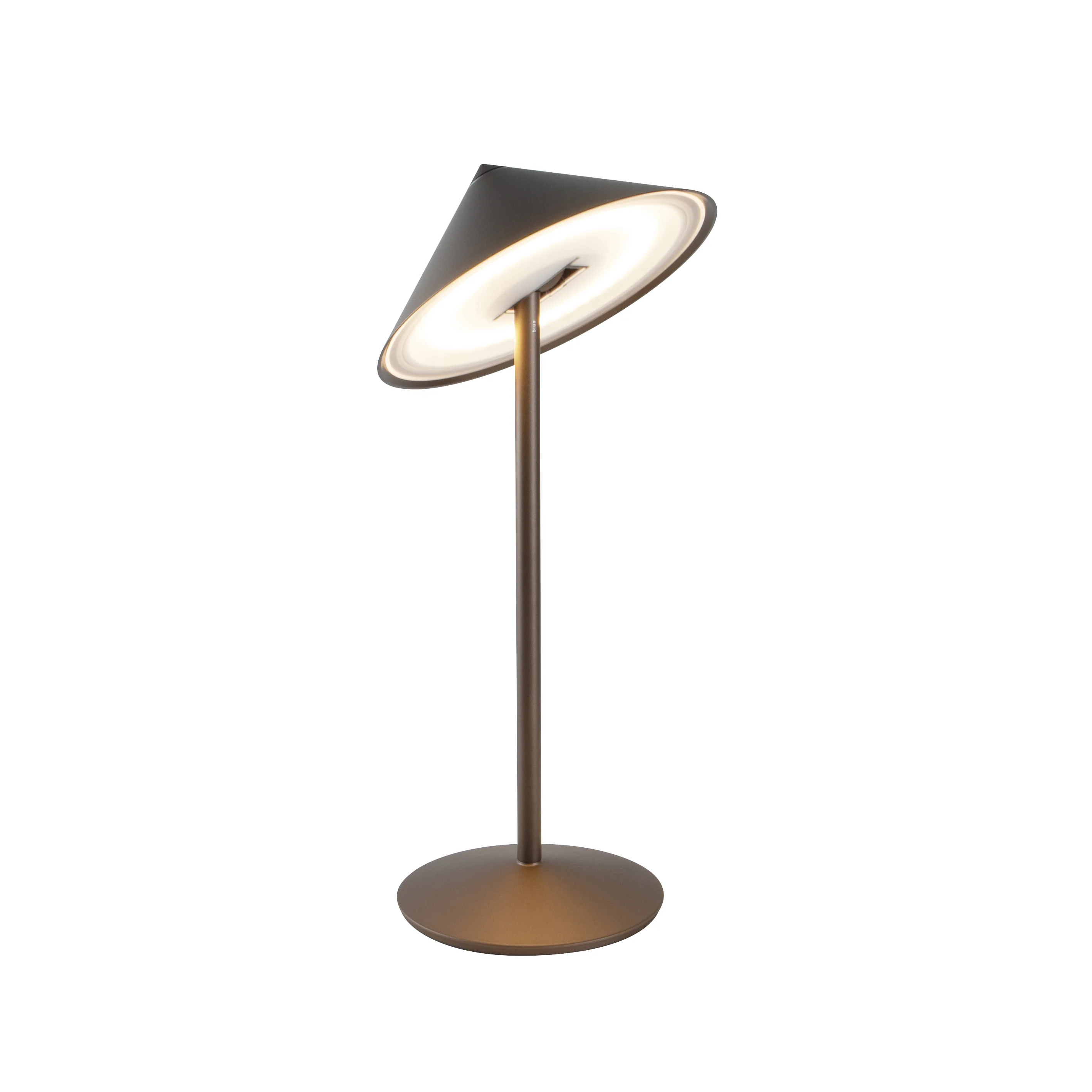 Pina L Portable Desk Lamp - Image 2