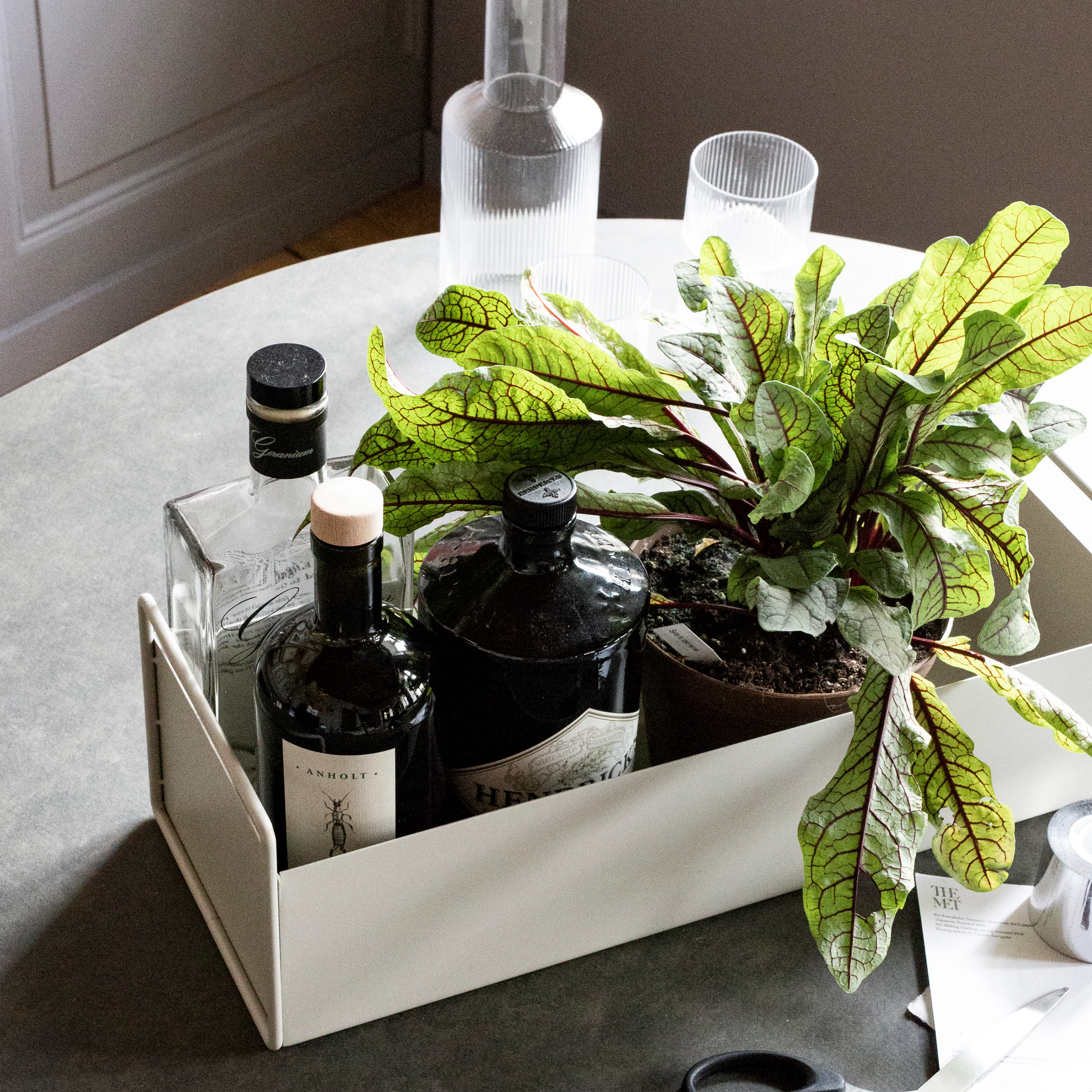 Plant Box - Image 9