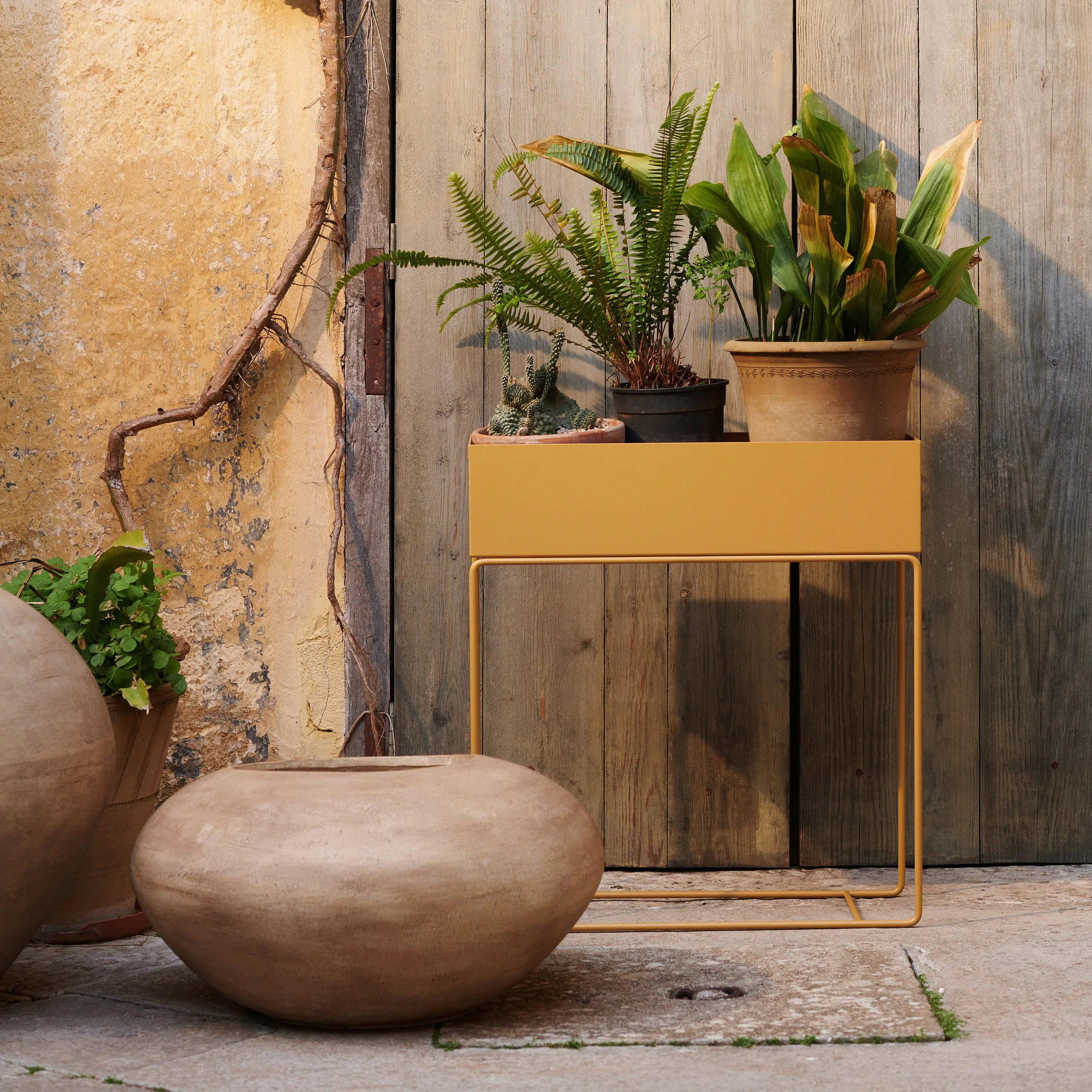 Plant Box - Image 25
