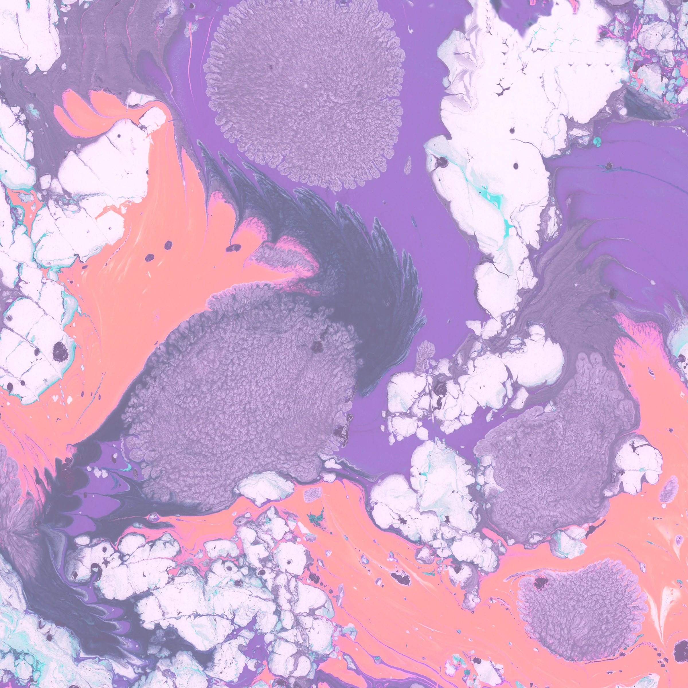 Plunge Wallpaper - Image 3