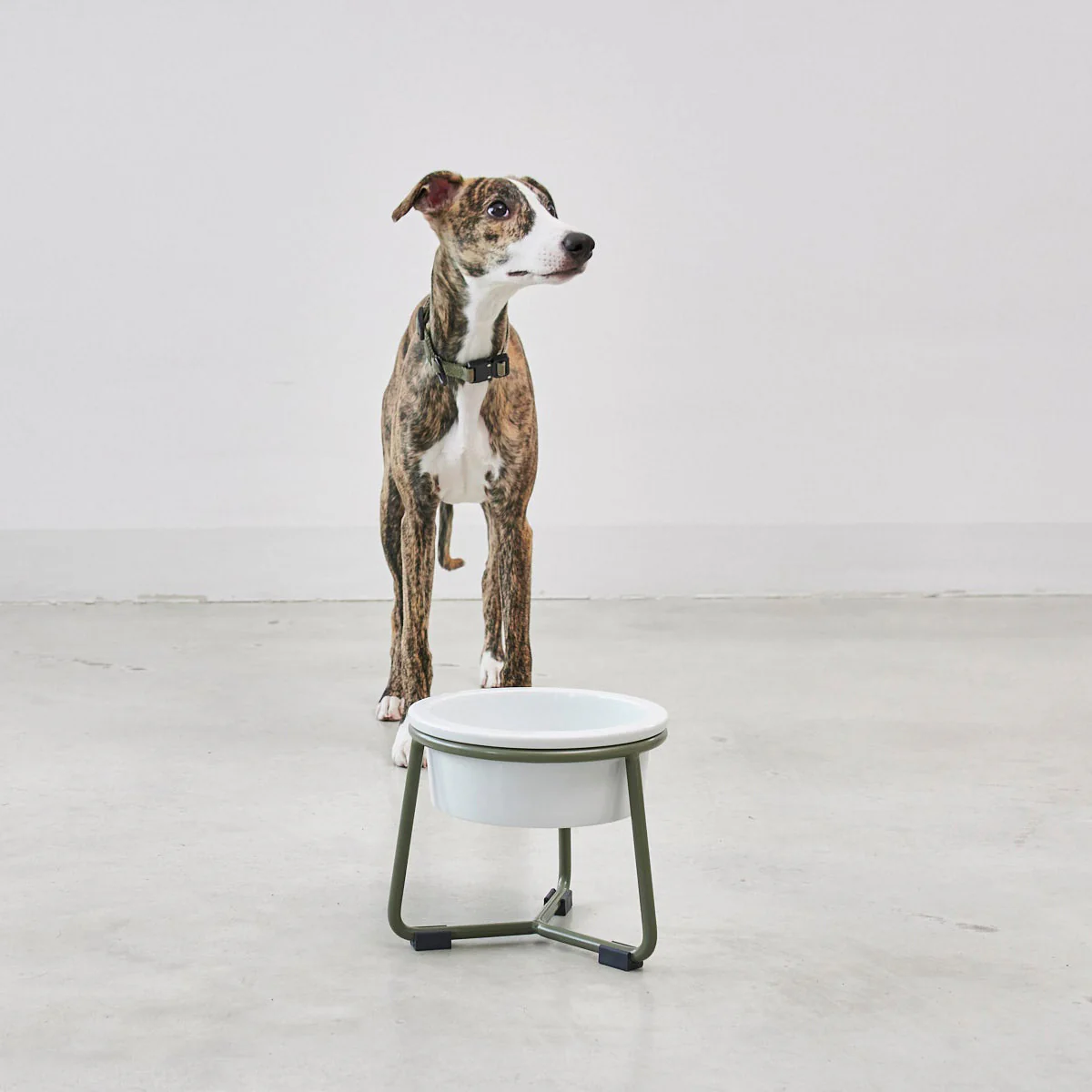 Pranzo Dog Feeder - Image 6