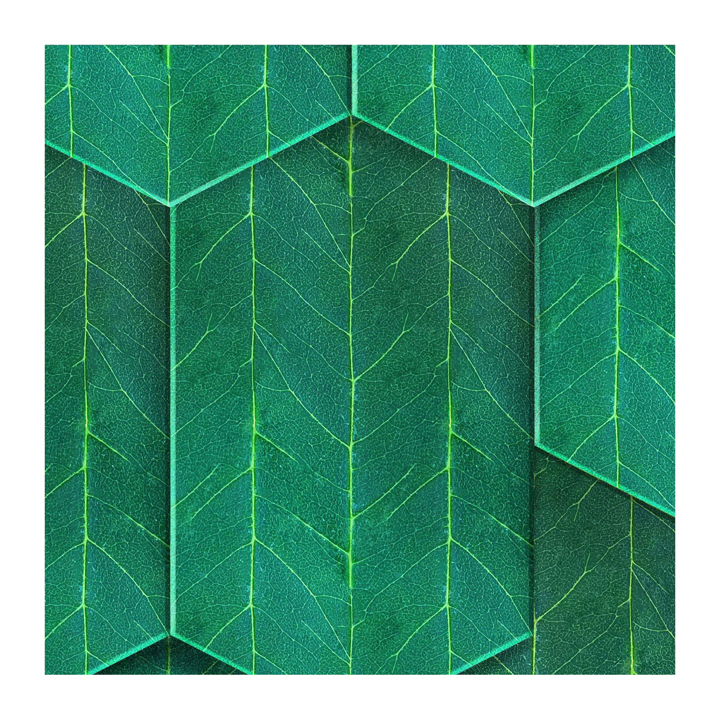 Rainy Woods Wallpaper Sample Swatch - Image 2