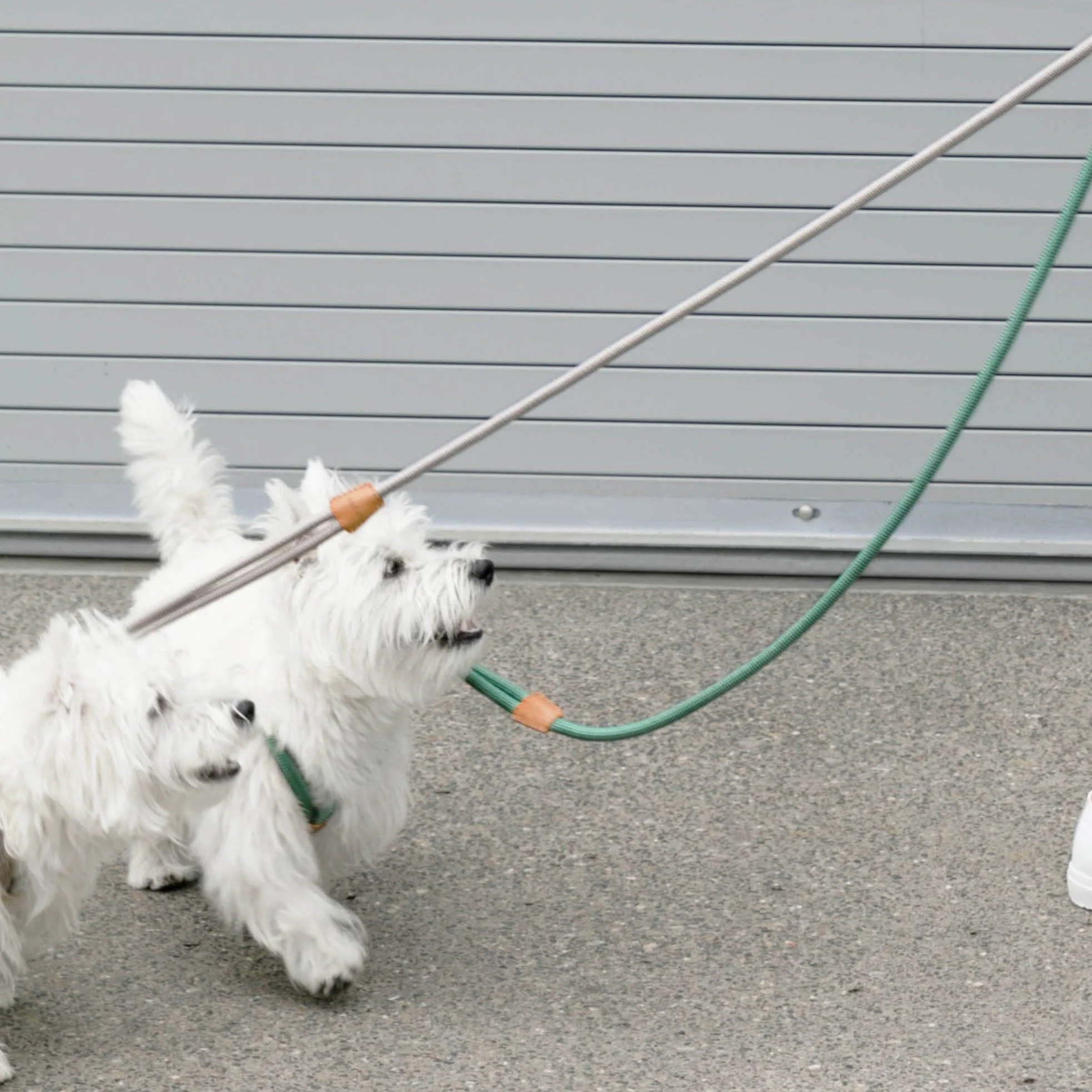 Ray All-in-One Leash and Harness Set - Image 5