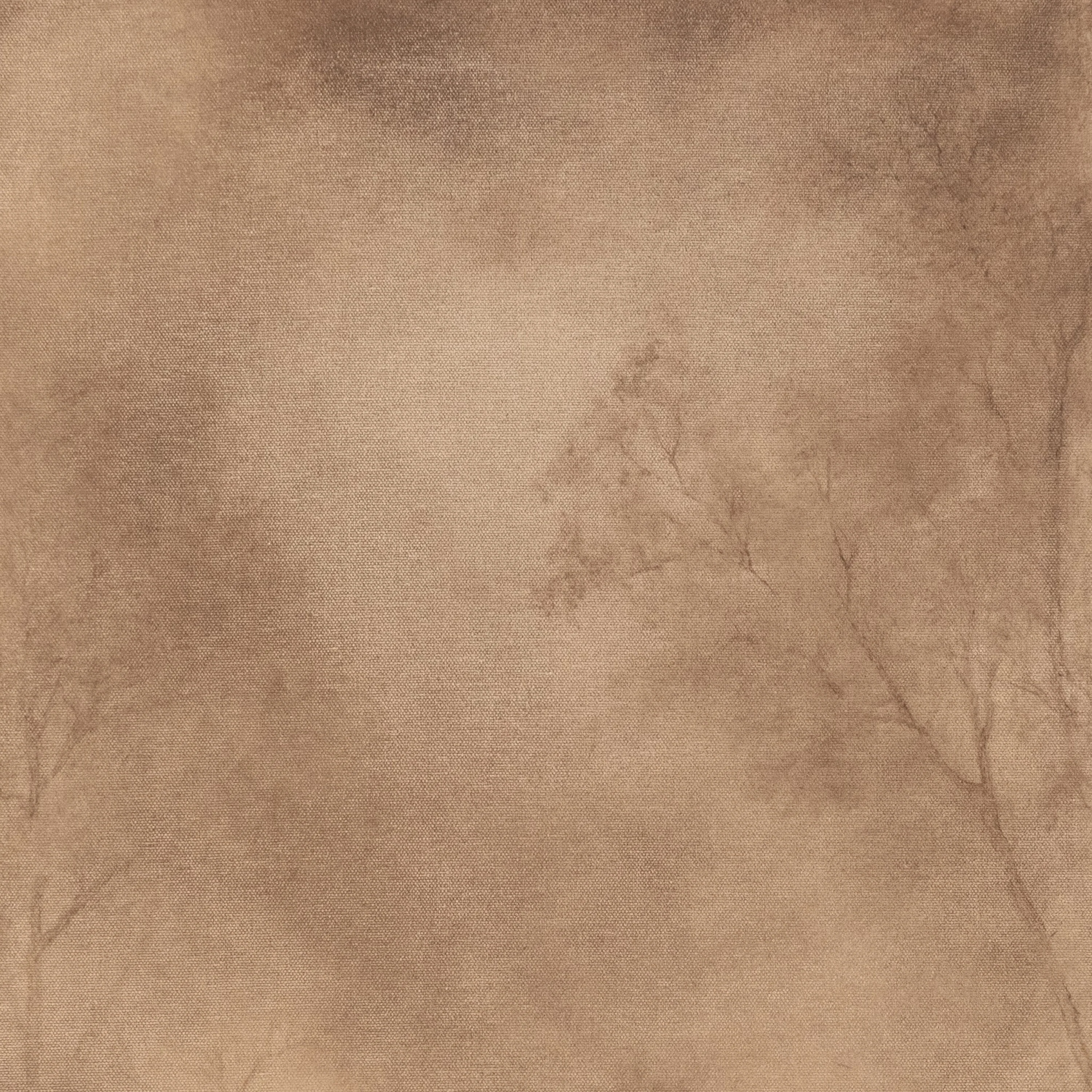 Roam by Aileen Fitzgerald Wall Art - Image 2