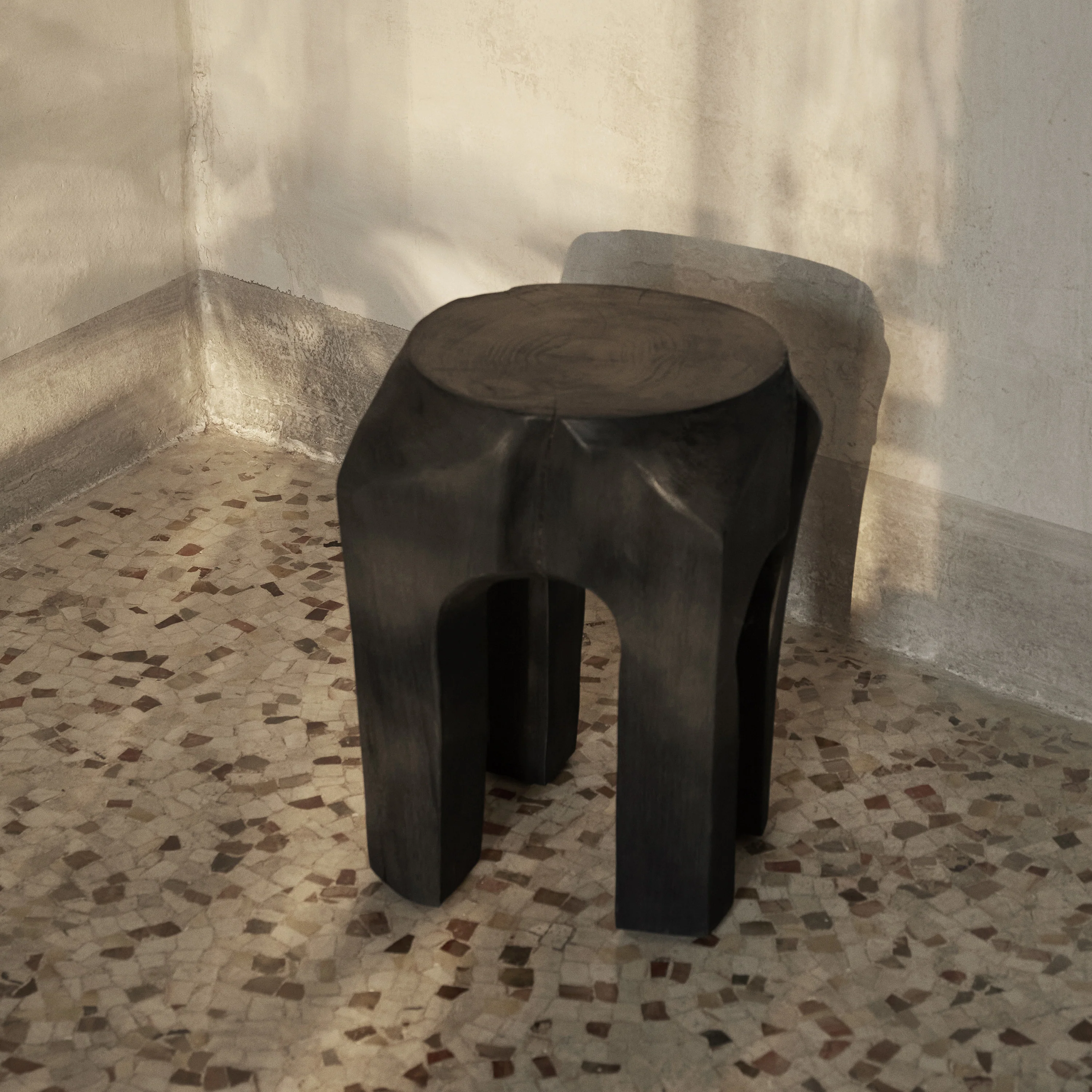 Root Stool - Image 3