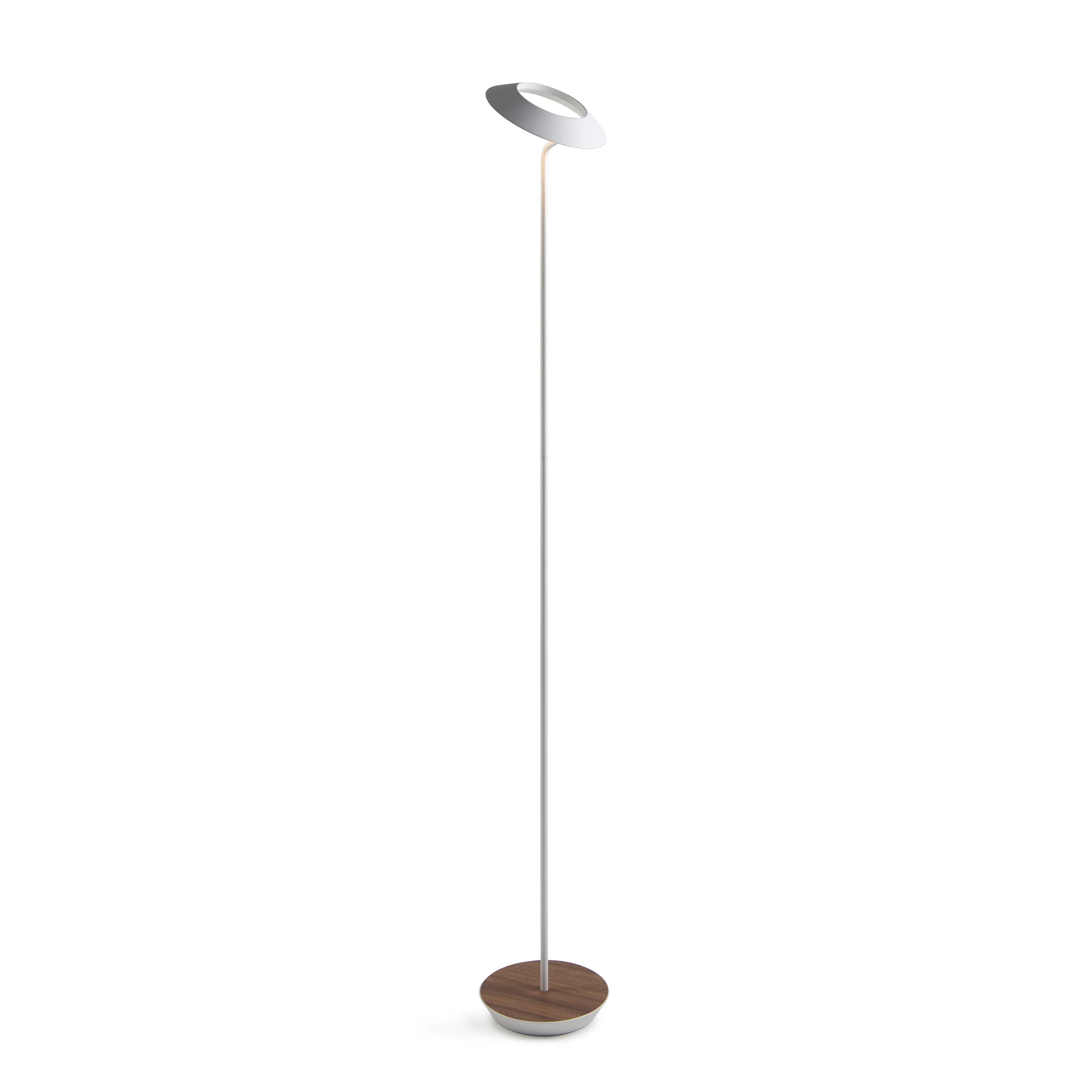 Royyo Floor Lamp - Image 19
