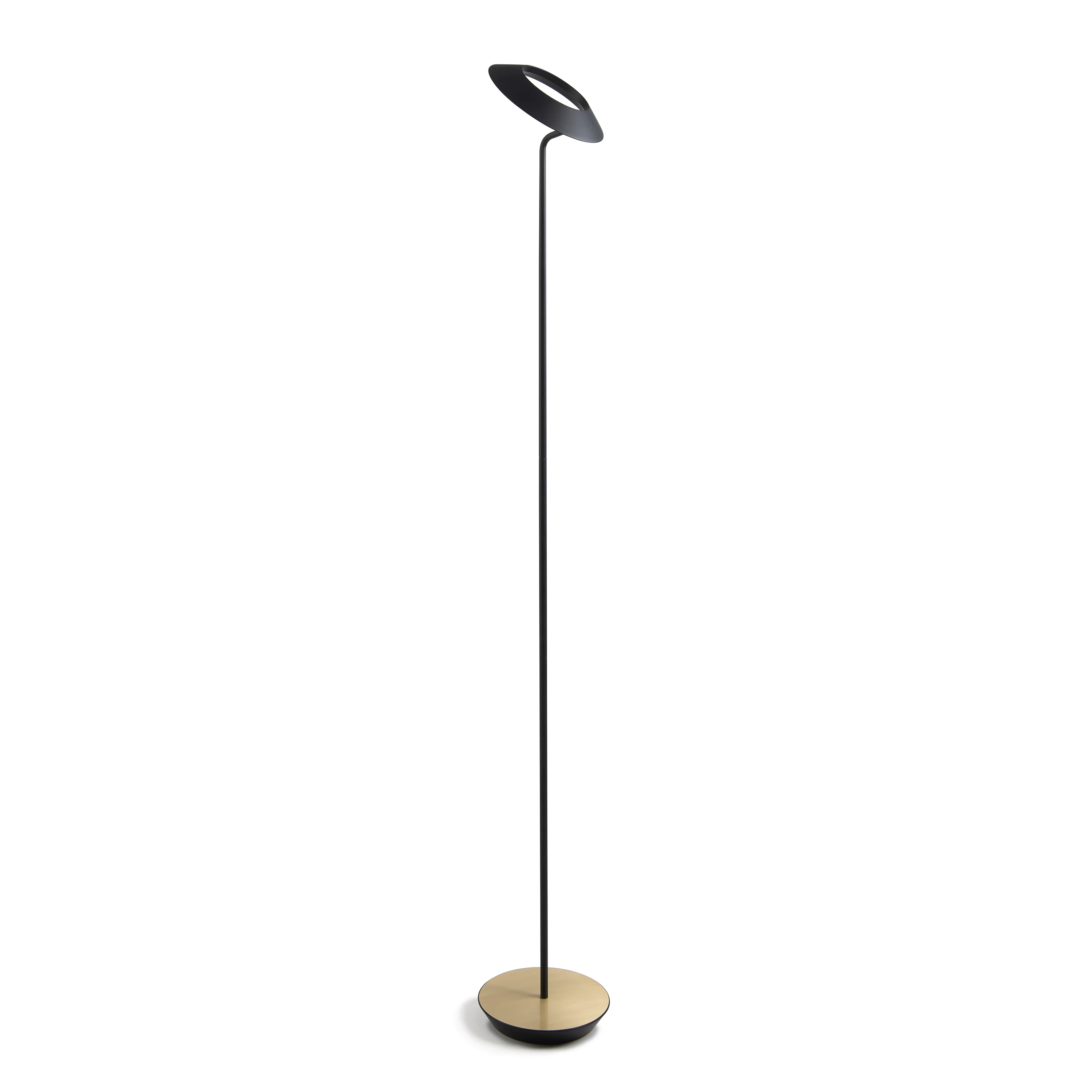 Royyo Floor Lamp - Image 36
