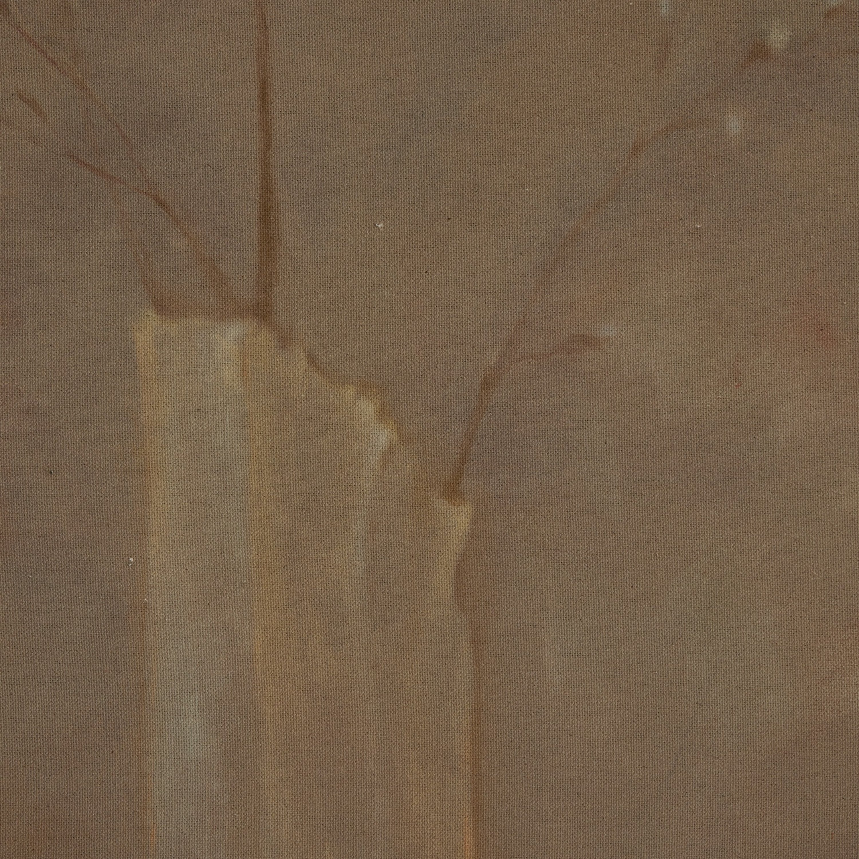 Sakura by Jess Engle Wall Art - Image 6