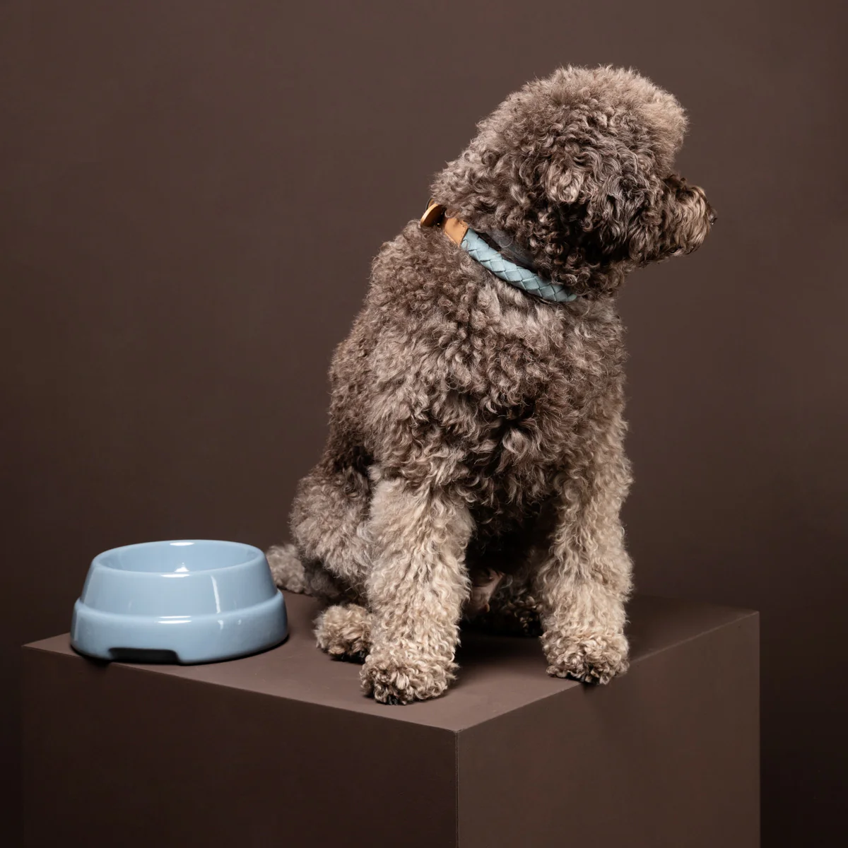 Sebastiao Dog Bowl - Image 16