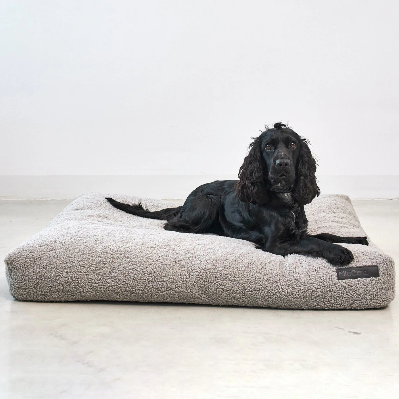 Senso Dog Cushion - Image 4