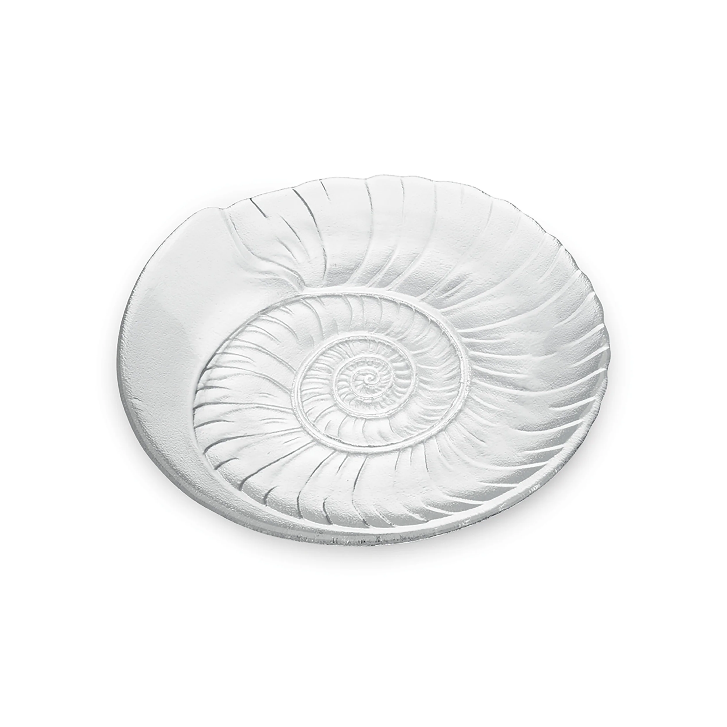 Shell Platter - Image 3
