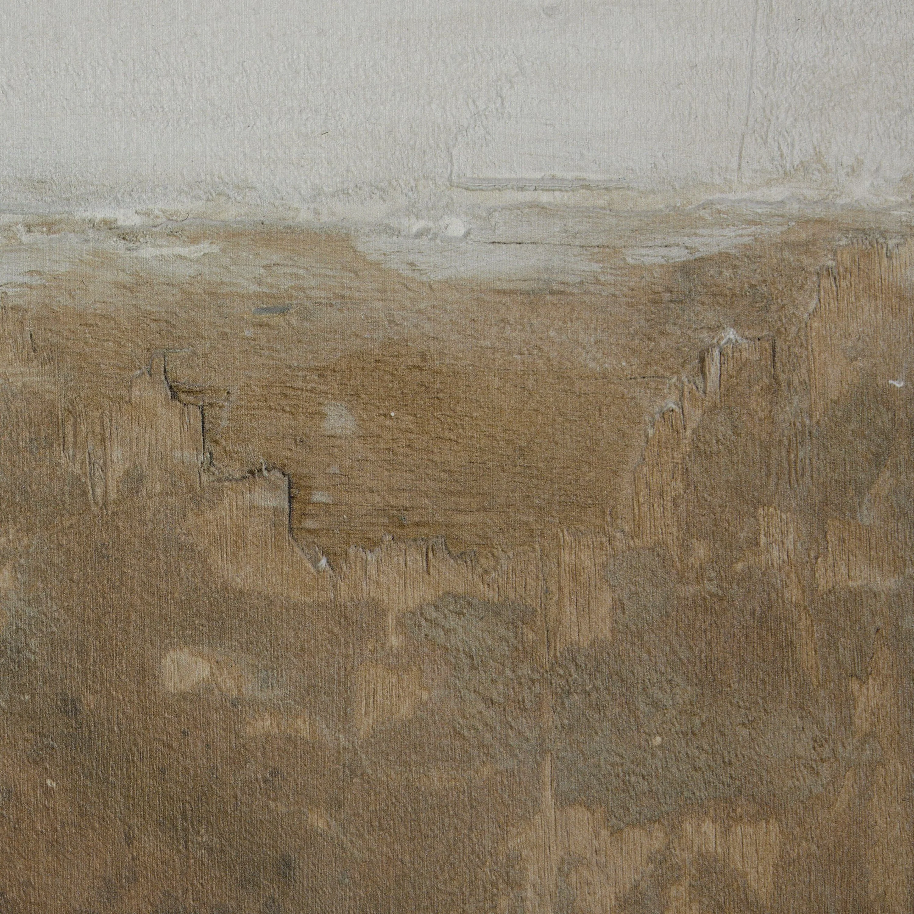 Sonora by Paul Meyer Wall Art - Image 6