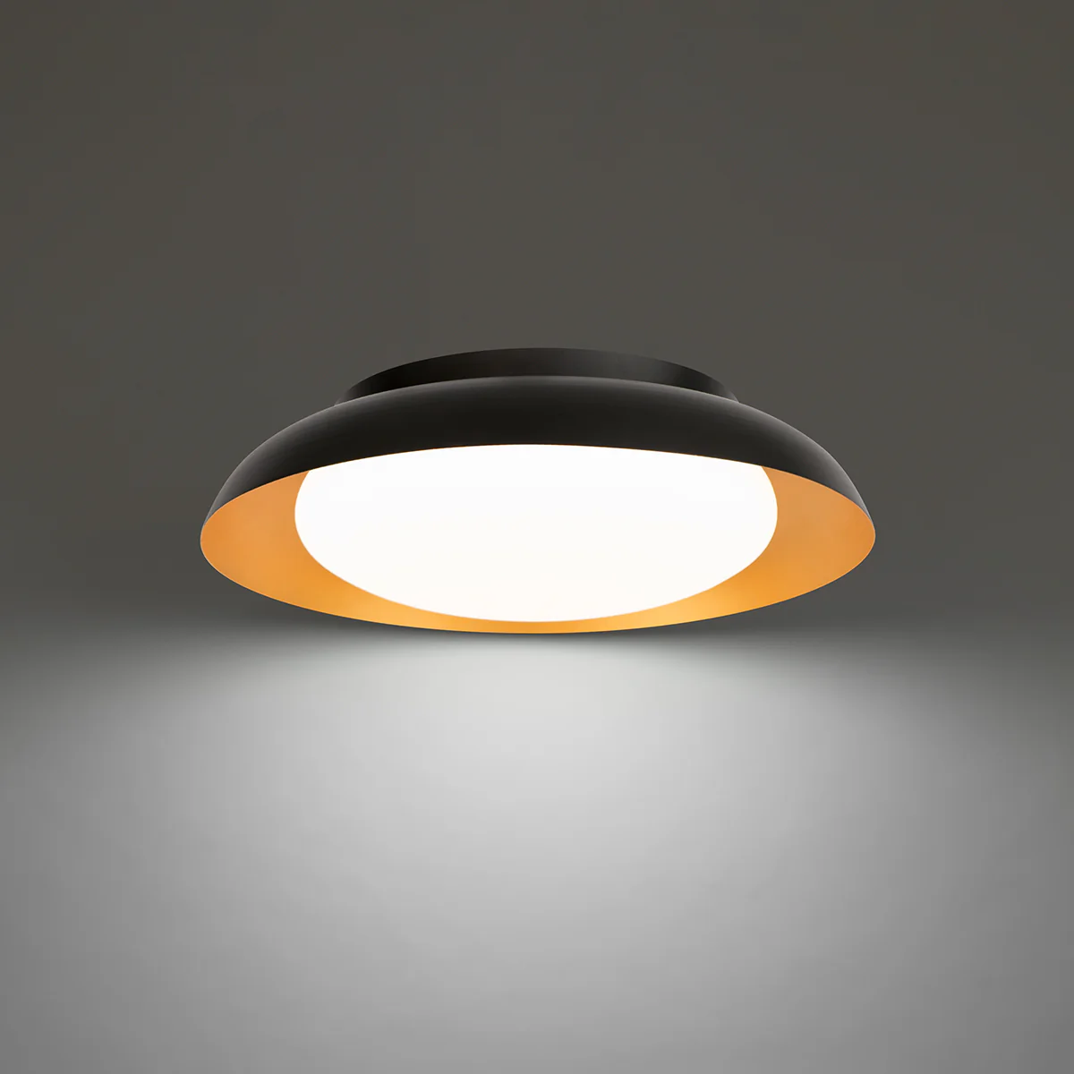 Taurus LED Flush Mount - Image 3