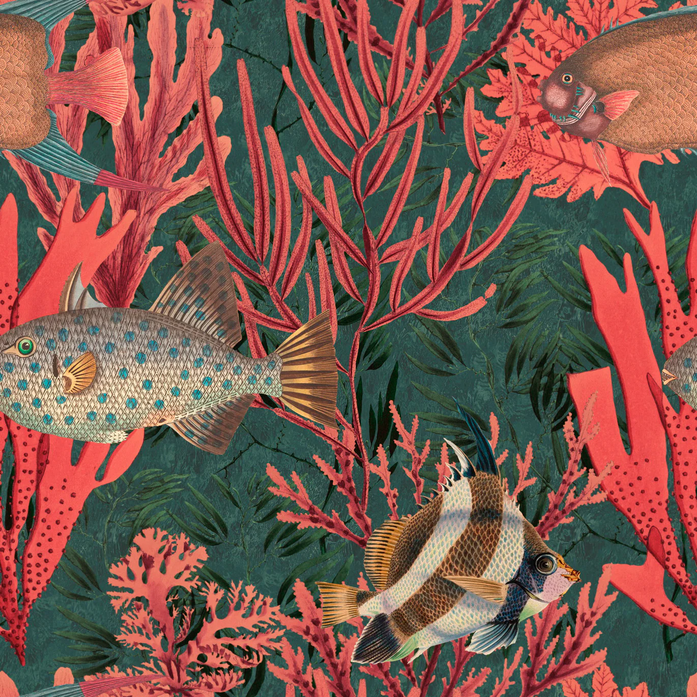 The Undersea Wallpaper - Image 2