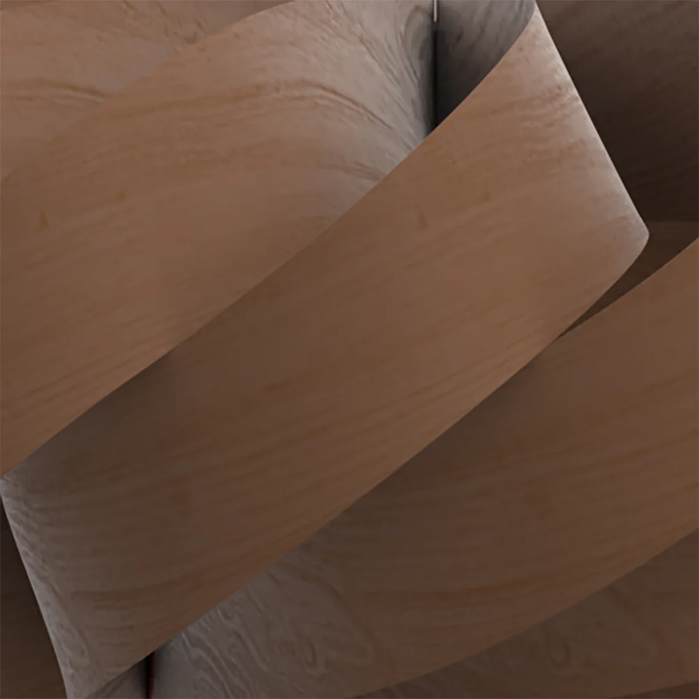 TR5 LED Wall Sconce - Image 5