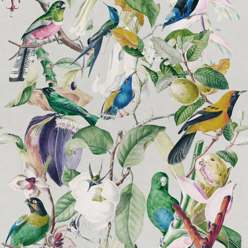 Tropical Birds Wallpaper - Image 2