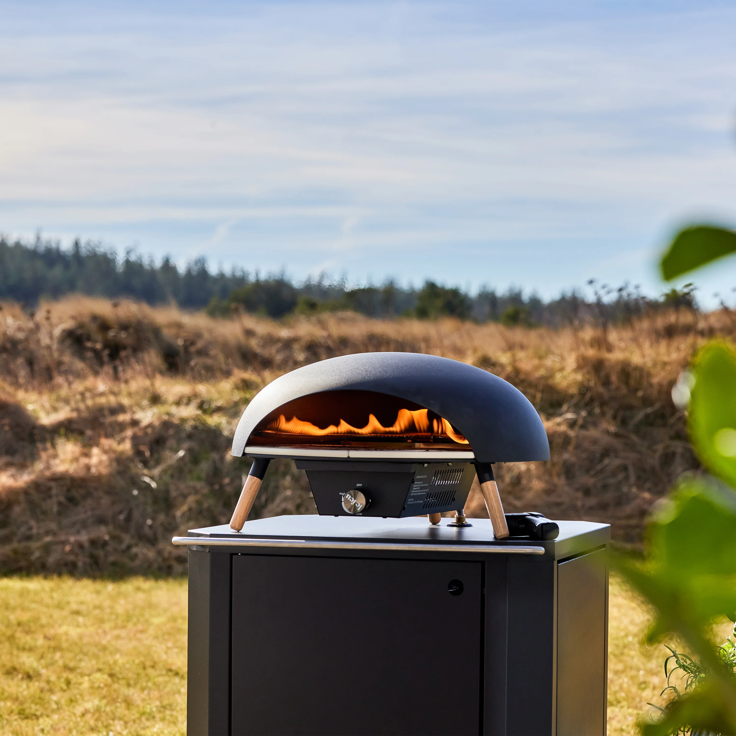 Turtle Gas Powered Pizza Oven - Image 4