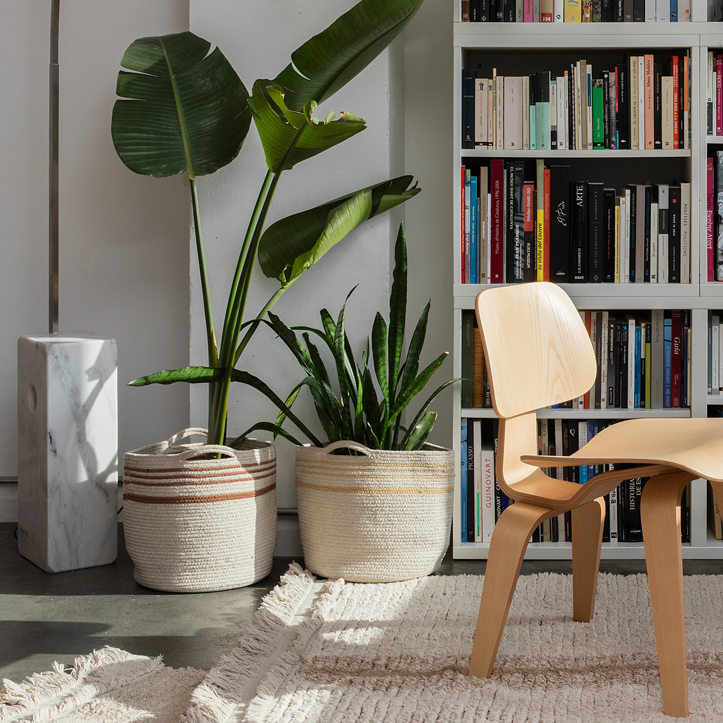 Twin Basket - Image 5