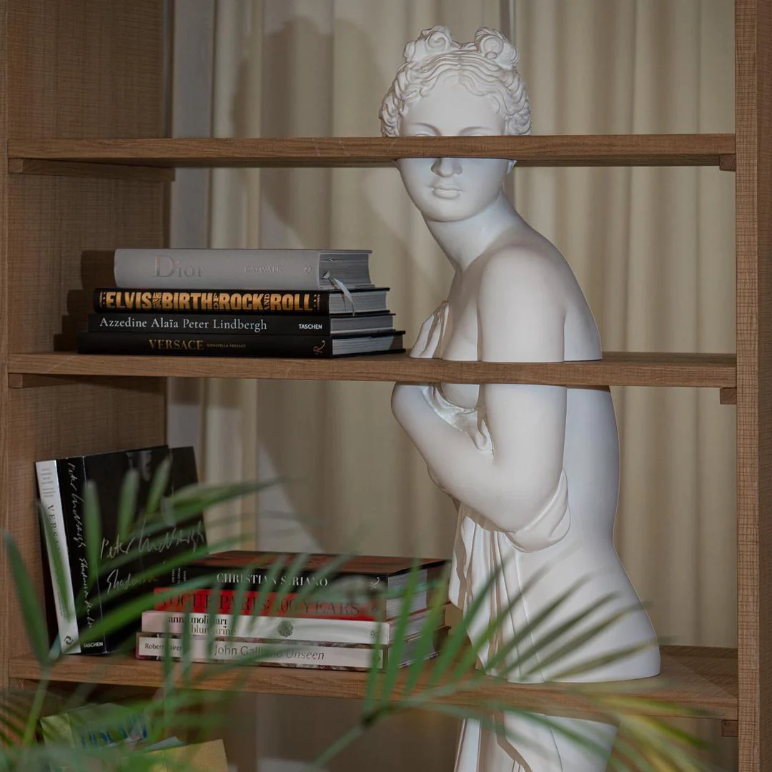 Venus Shelf - Image 10