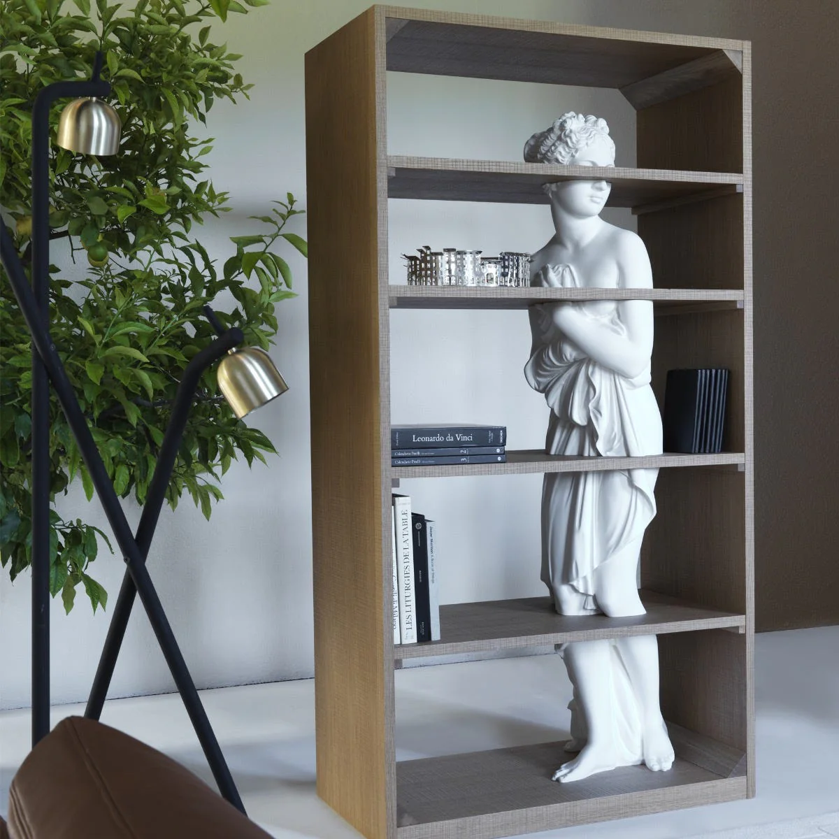 Venus Shelf - Image 3