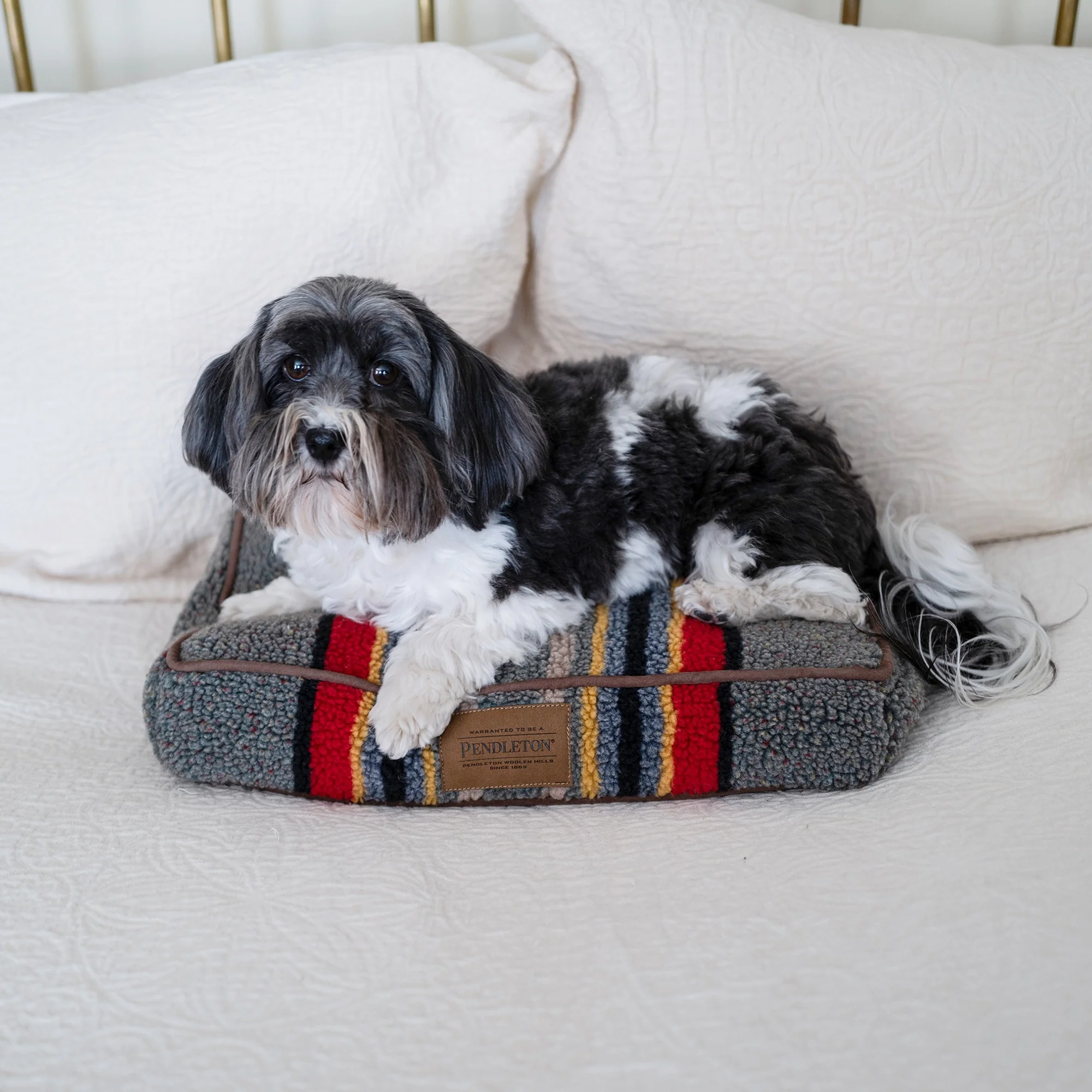 Vintage Camp Pet Napper - Image 2