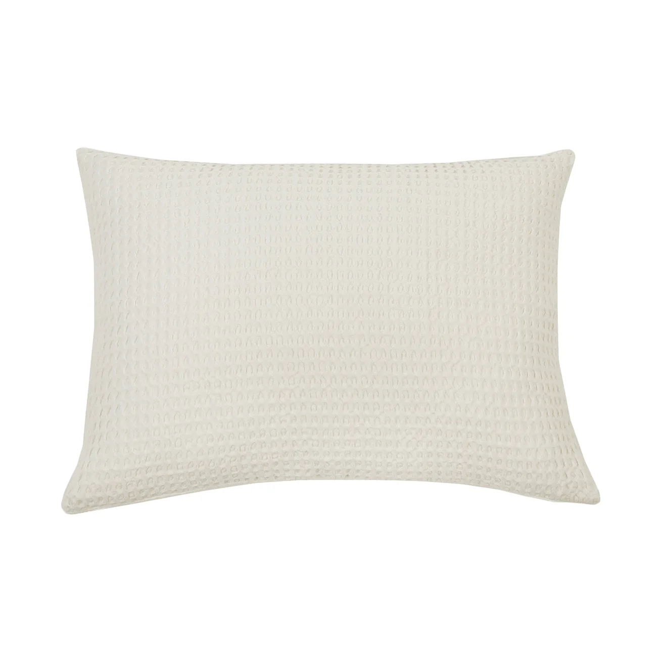 Zuma Big Pillow With Insert - Image 6